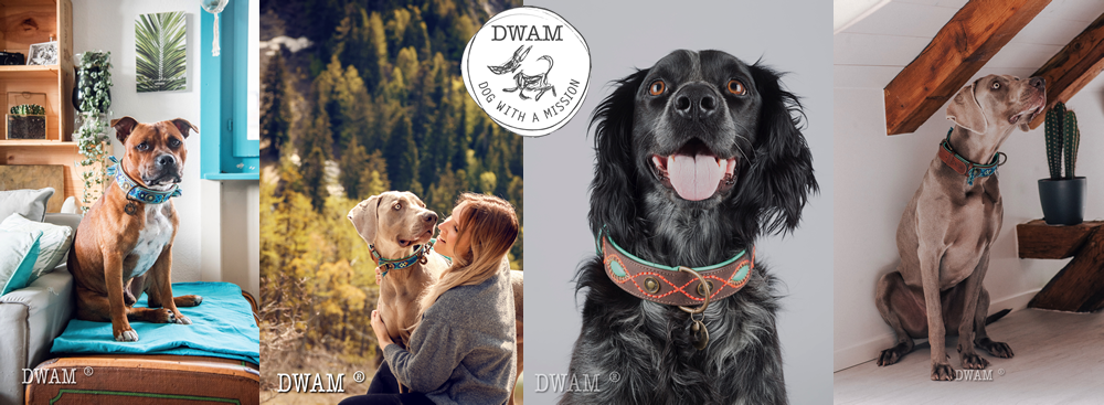 Dogs with a mission - Einzigartige Leinen, Halsbänder und Accessoires für Hunde