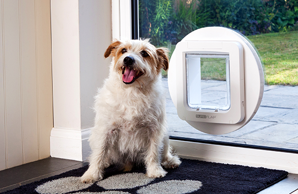 Sure Petcare SureFlap Mikrochip Haustierklappe