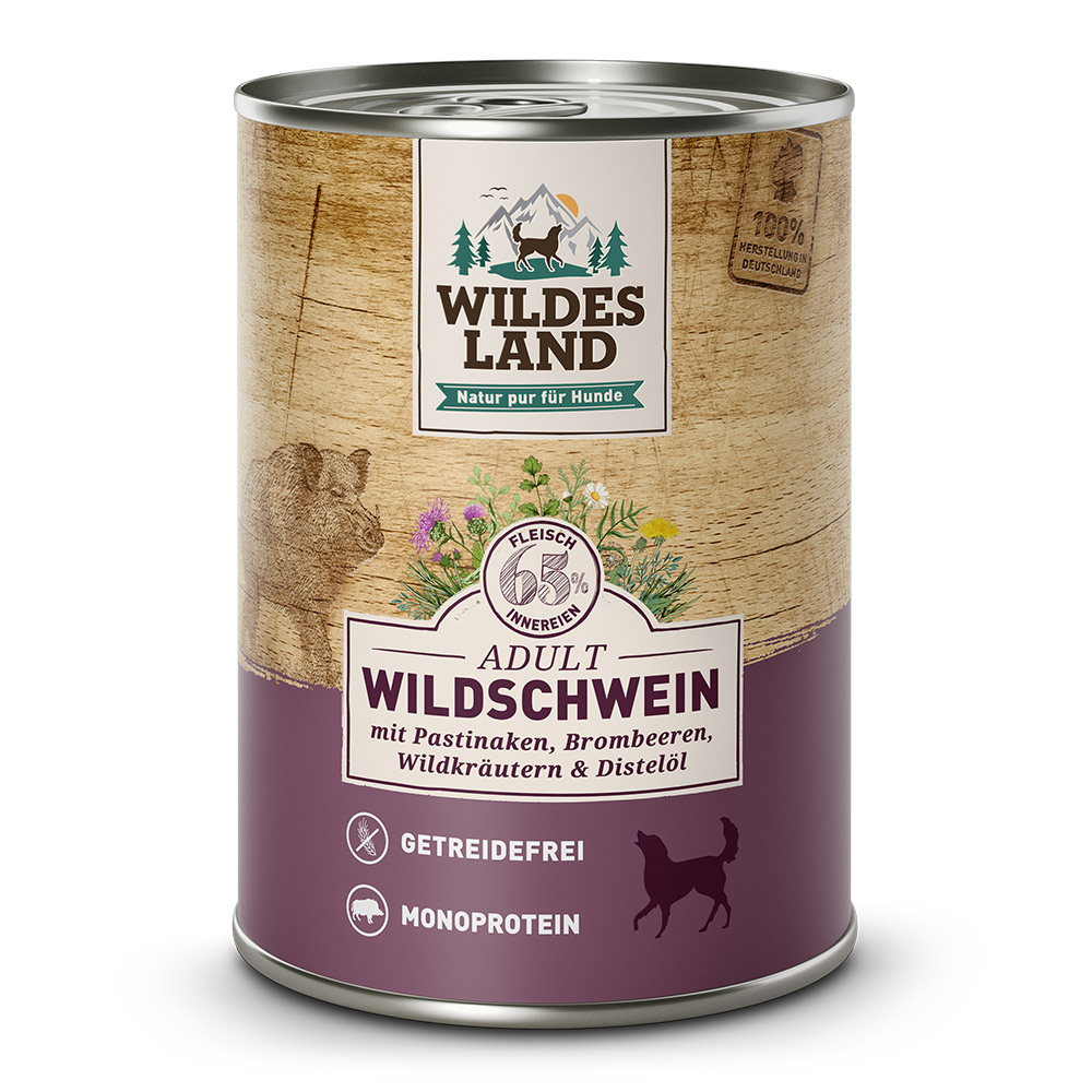 Wildes Land Wildschwein mit Pastinake