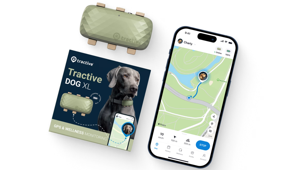 Tractive GPS Tracker Dog XL 