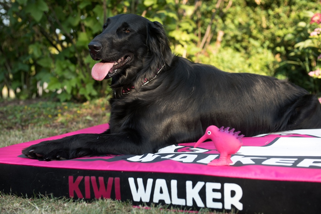 Kiwi Walker Pet Bed Pink/Black