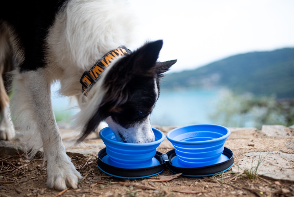 Kiwi Walker Travel Double Bowl Blue