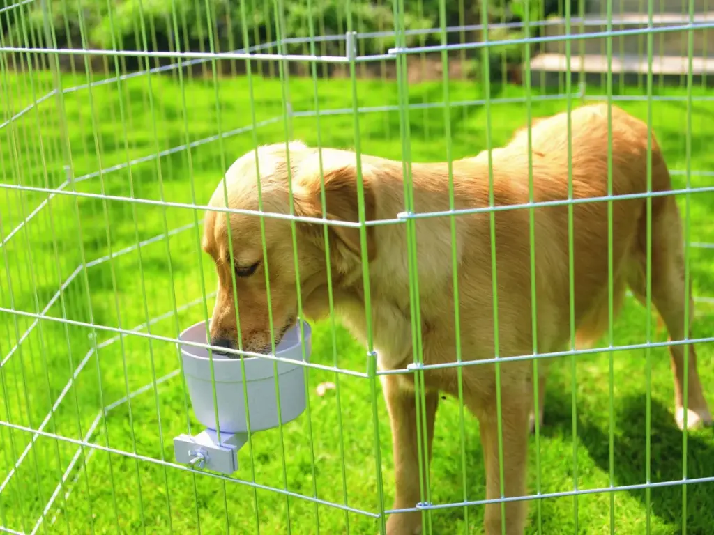 Savic Crock Napf für Transportbox 300 ml