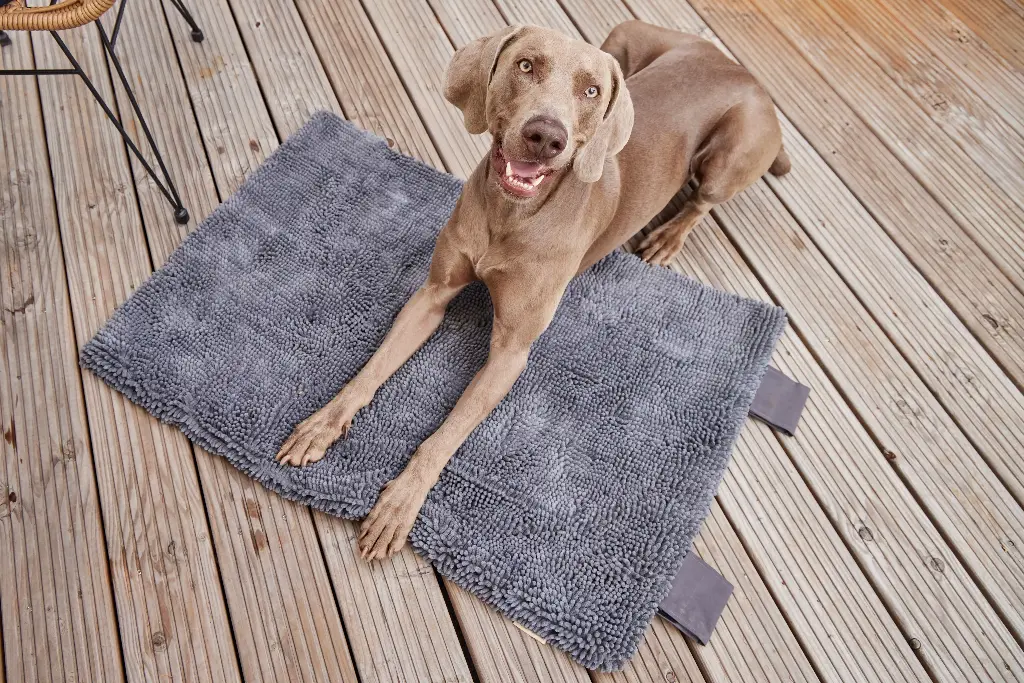 Wolters Vagabund meets Cleankeeper 