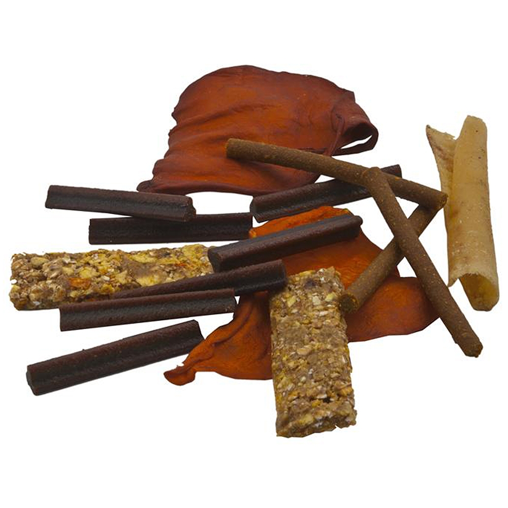 Ecostar Buntes Kauvergnügen im Eimer