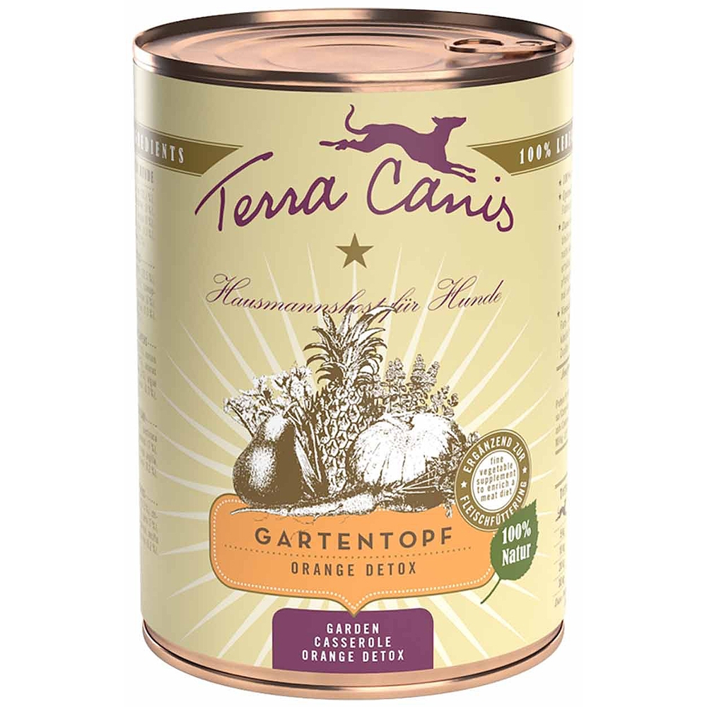 Terra Canis Gartentopf Detox Orange