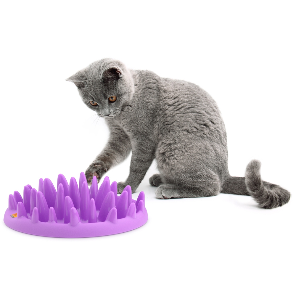 Northmate Interactive Feeder Katzennapf Catch