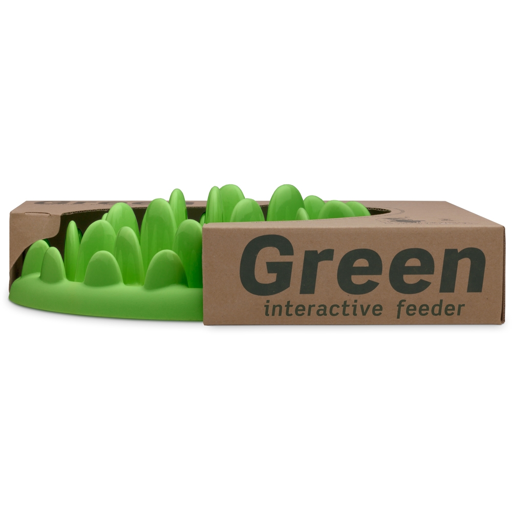Northmate Green Interaktiver Hundenapf