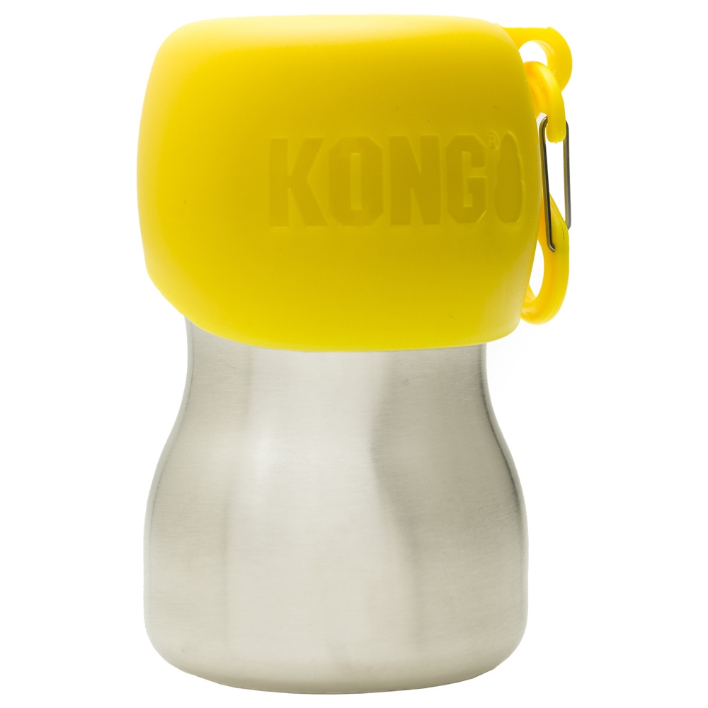 Kong H2O Wasserflasche