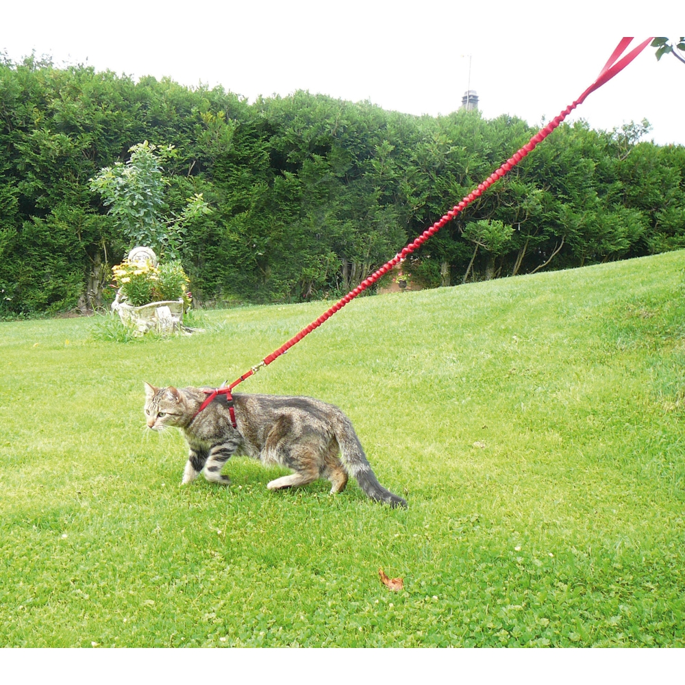 PetSafe Easy Walk Geschirr und Leine für Katzen