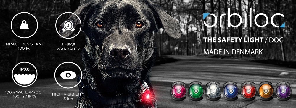 Orbiloc - Das beste Sicherheitslicht für Sie und Ihren Hund