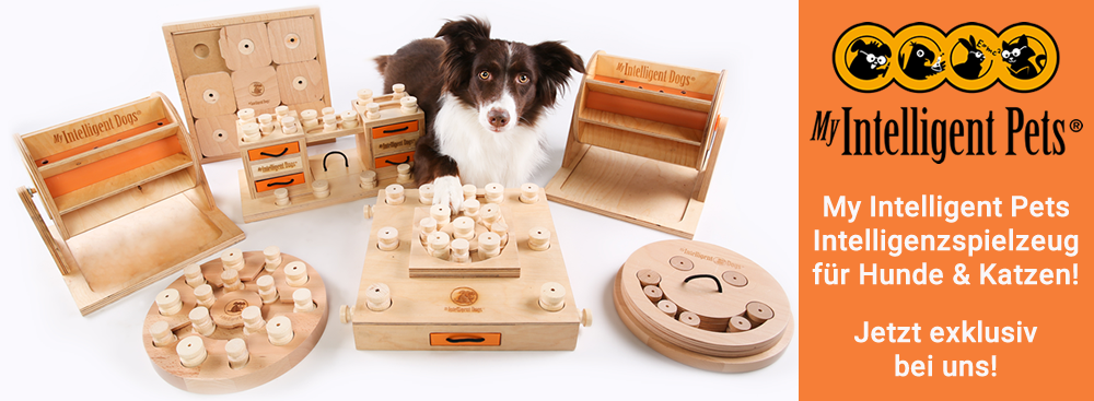Intelligenzspielzeuge für Hunde und Katzen mit Köpfchen!