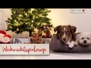 Wolters Plüschball Weihnachtsmann