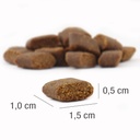 Platinum Adult Beef & Potato