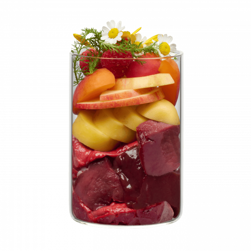 Terra Canis Flower Menu Alpenblüte Rind mit Erdäpfeln, Marille und Bergkräutern