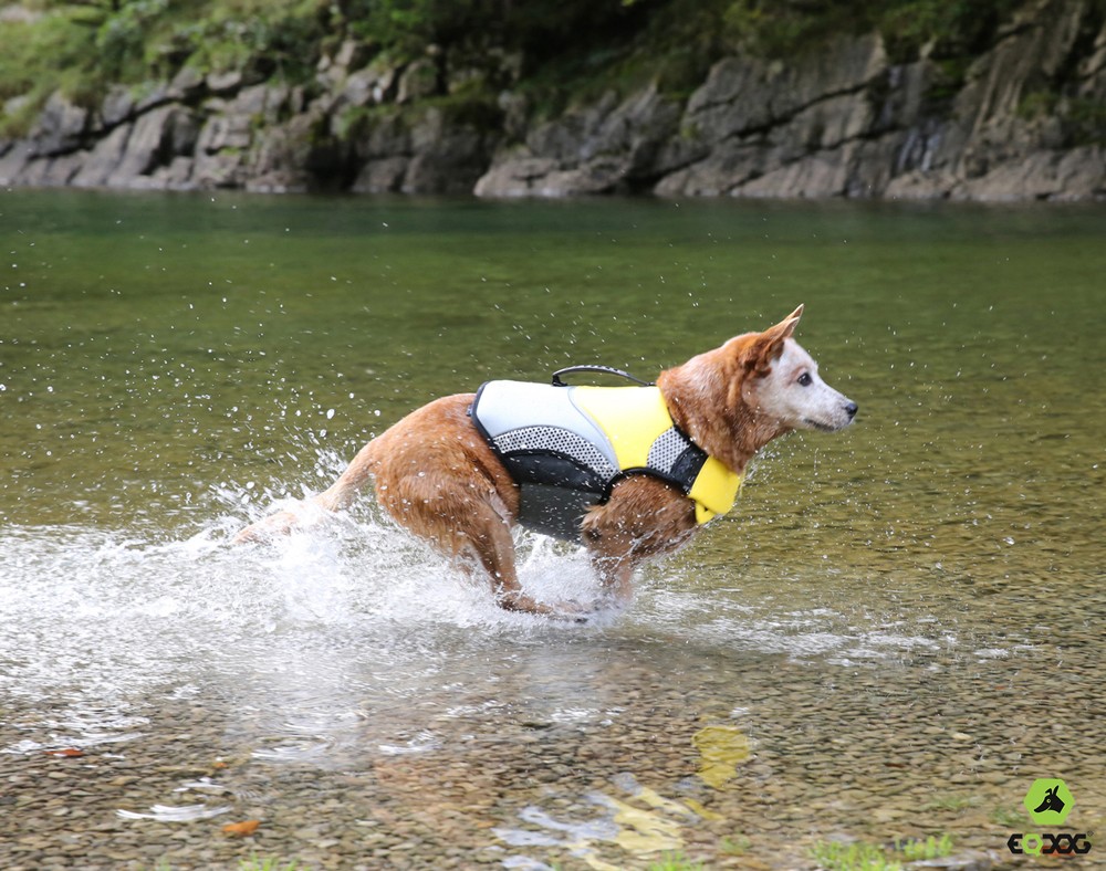 Eqdog Life Vest Pro