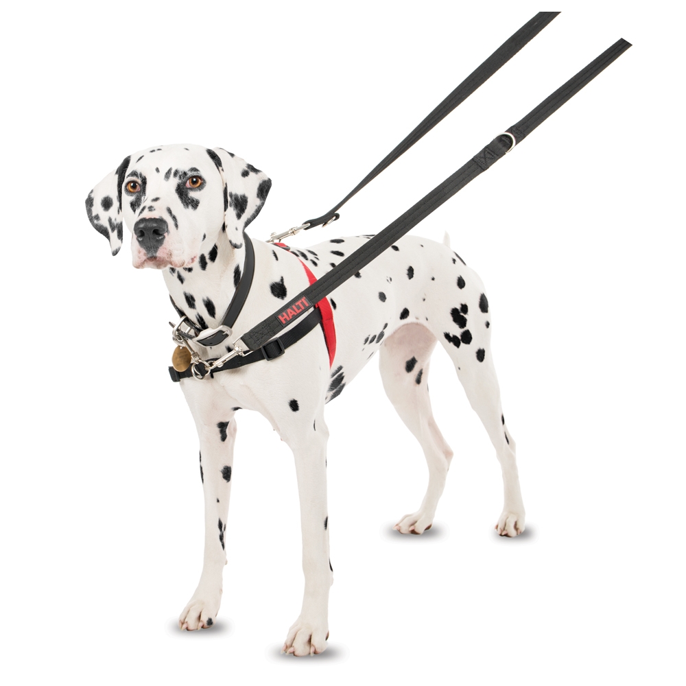 The Company of Animals Halti Harness