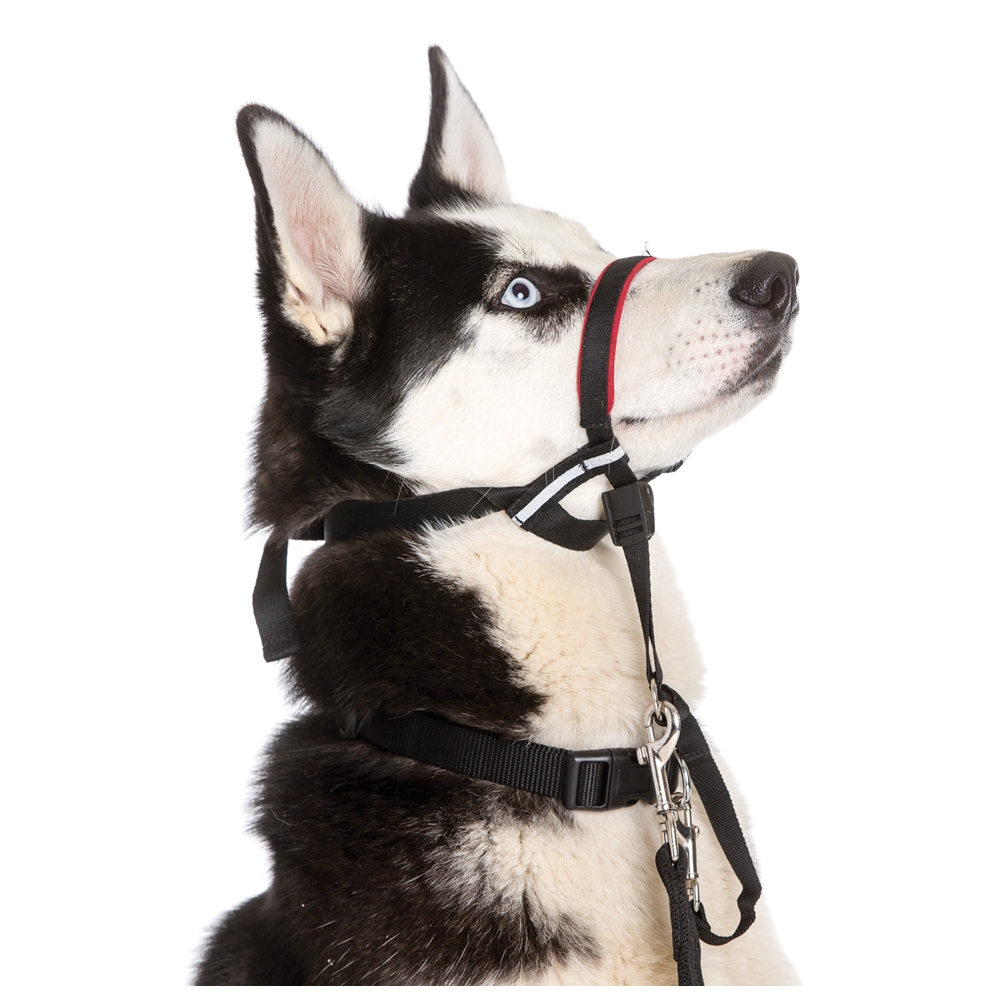 The Company of Animals Halti Optifit