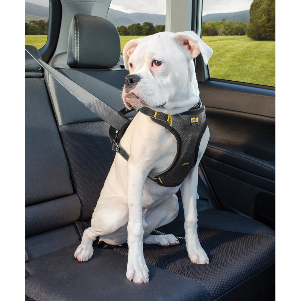 Kurgo Impact Dog Geschirr