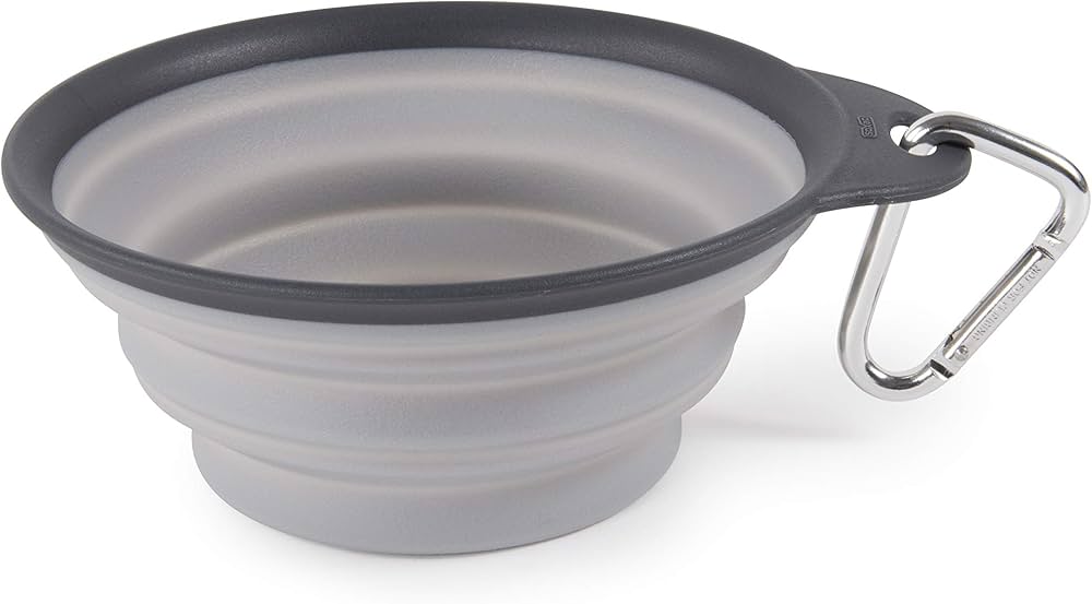 Dexas Collapsible Travel Cup with Carabiner