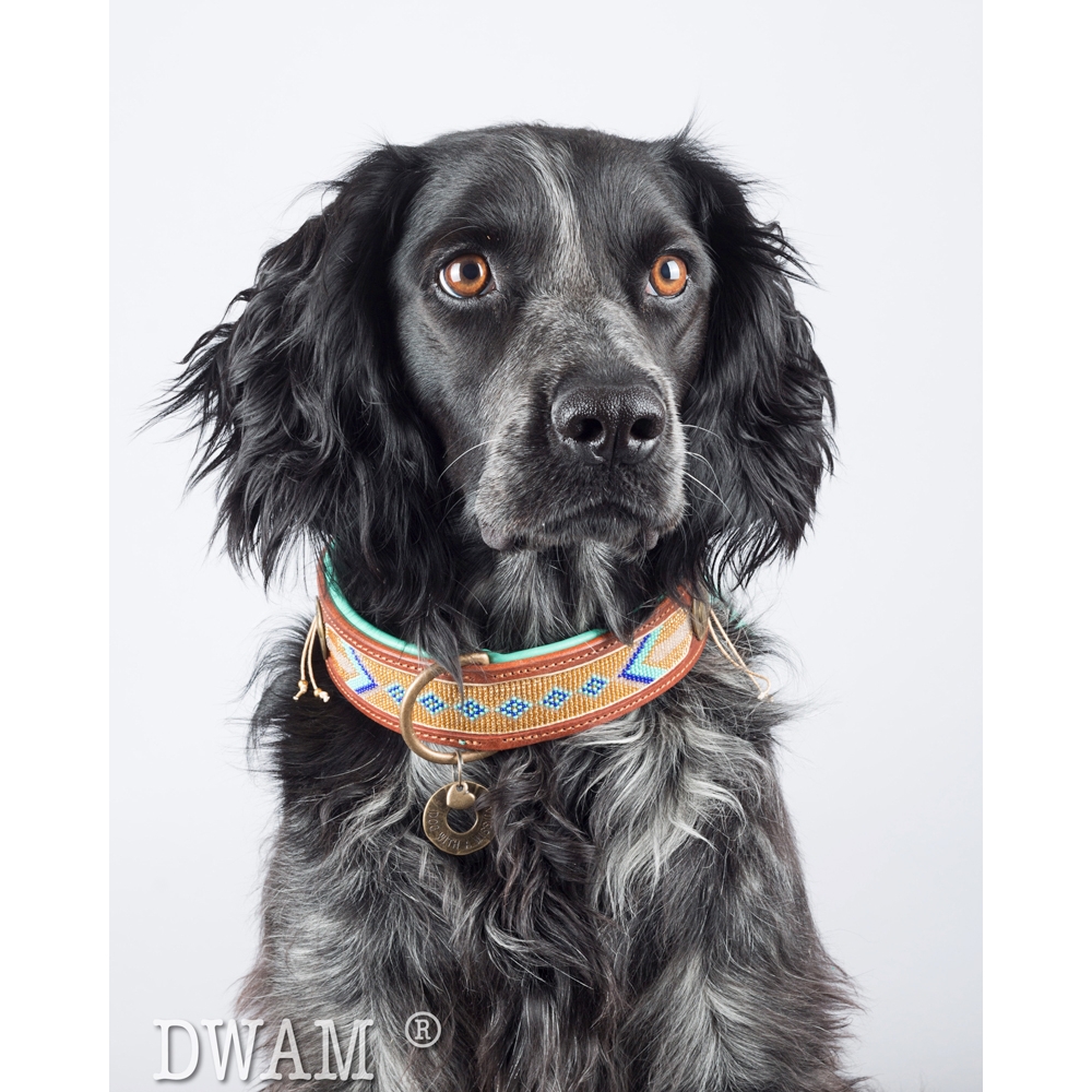 DWAM Halsband Beats Indi Moon