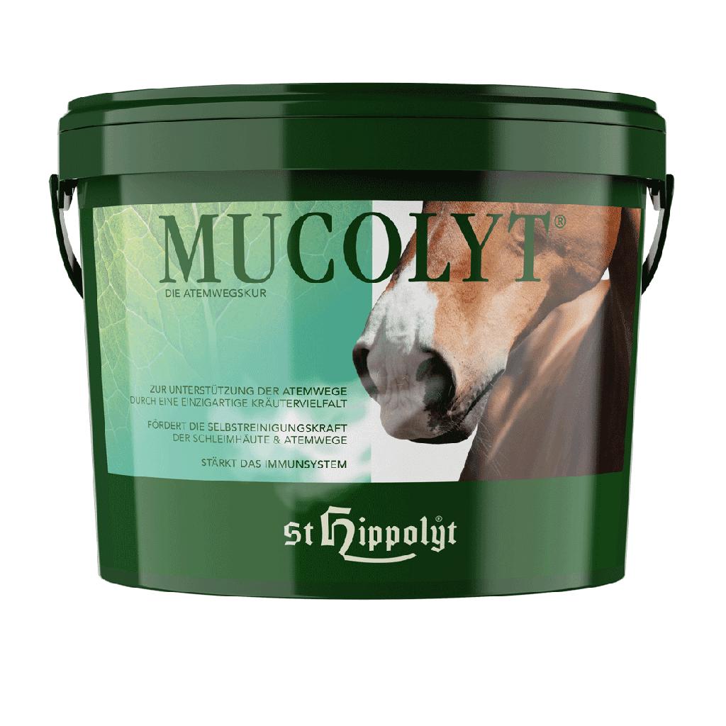 St. Hippolyt Mucolyt Atemwegskur