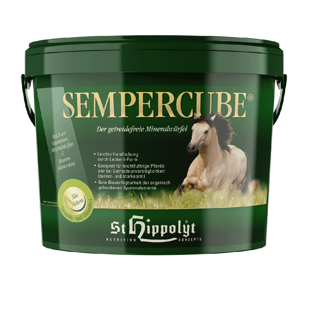 St. Hippolyt Mineralien SemperCube