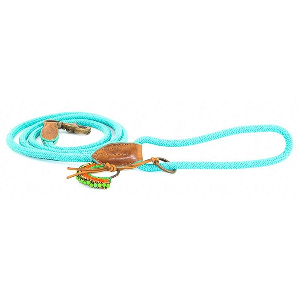DWAM Leine DWAM Turquoise