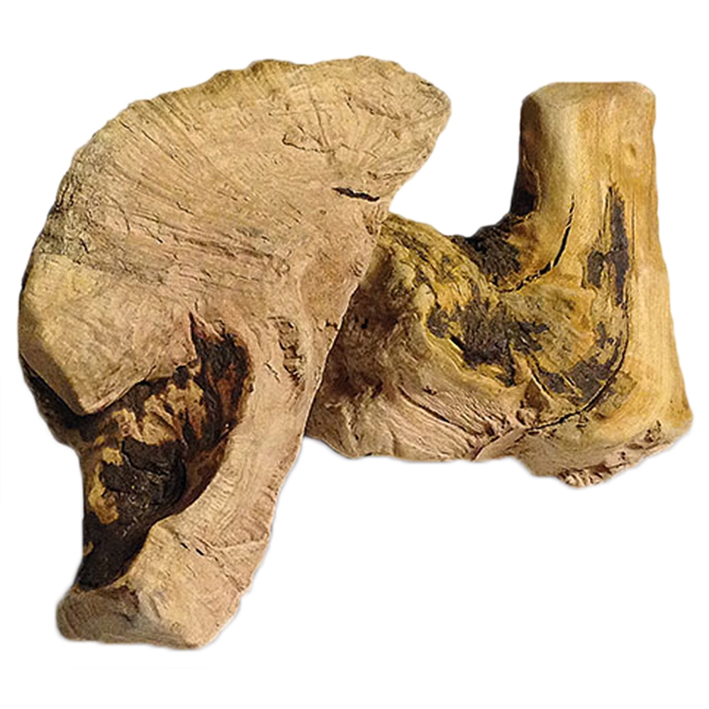 Larsson Heidebaum Kauwurzel Dolle Knolle