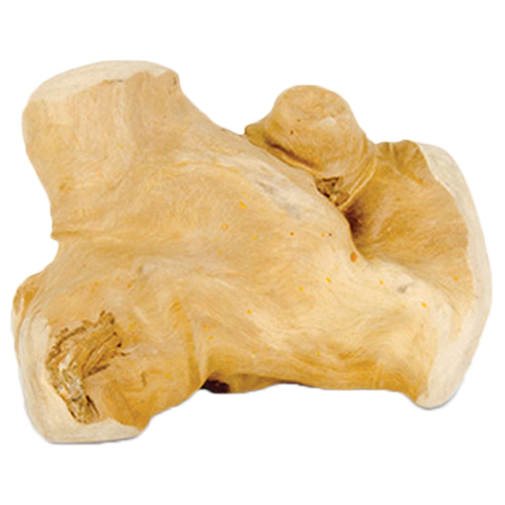 Larsson Kaffeebaum Kauholz Gorilla