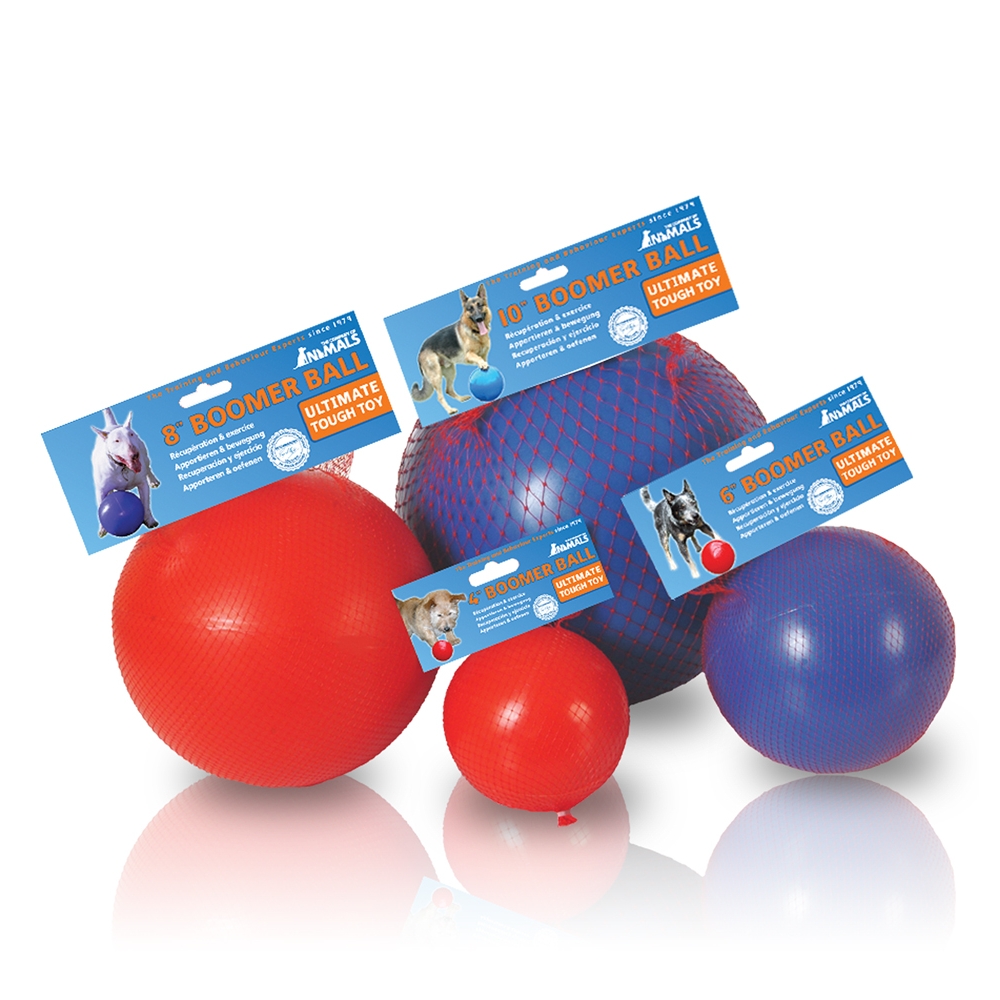 The Company of Animals Boomer Ball Blau/Rot