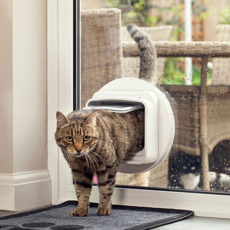 Sure Petcare SureFlap DualScan Katzenklappe