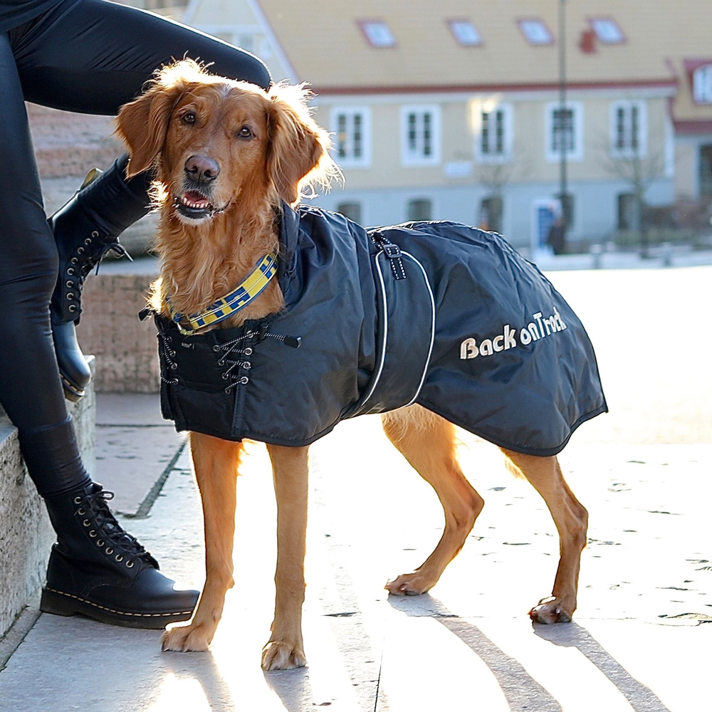 Back on Track Standardmantel