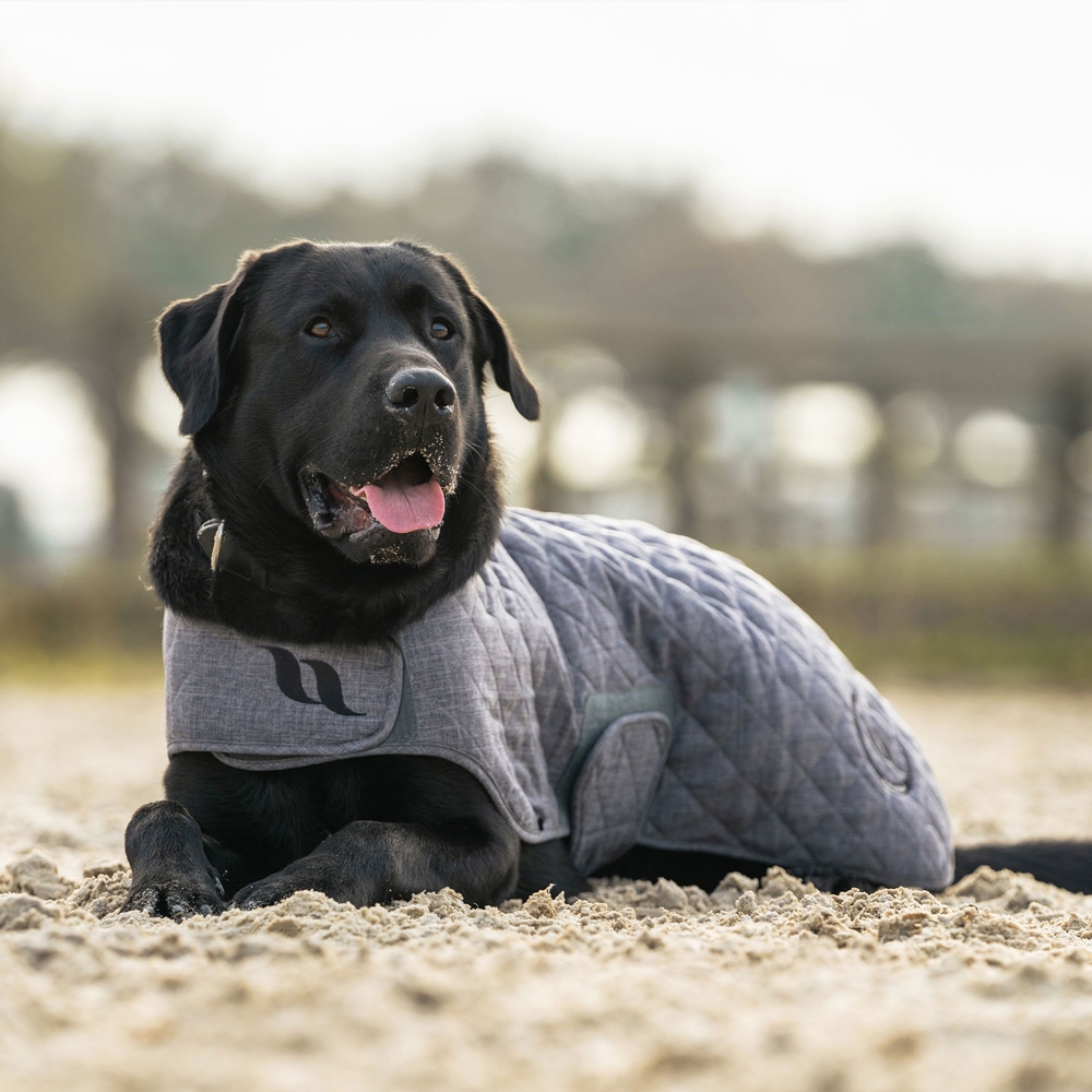 Back on Track Hundemantel Haze Collection