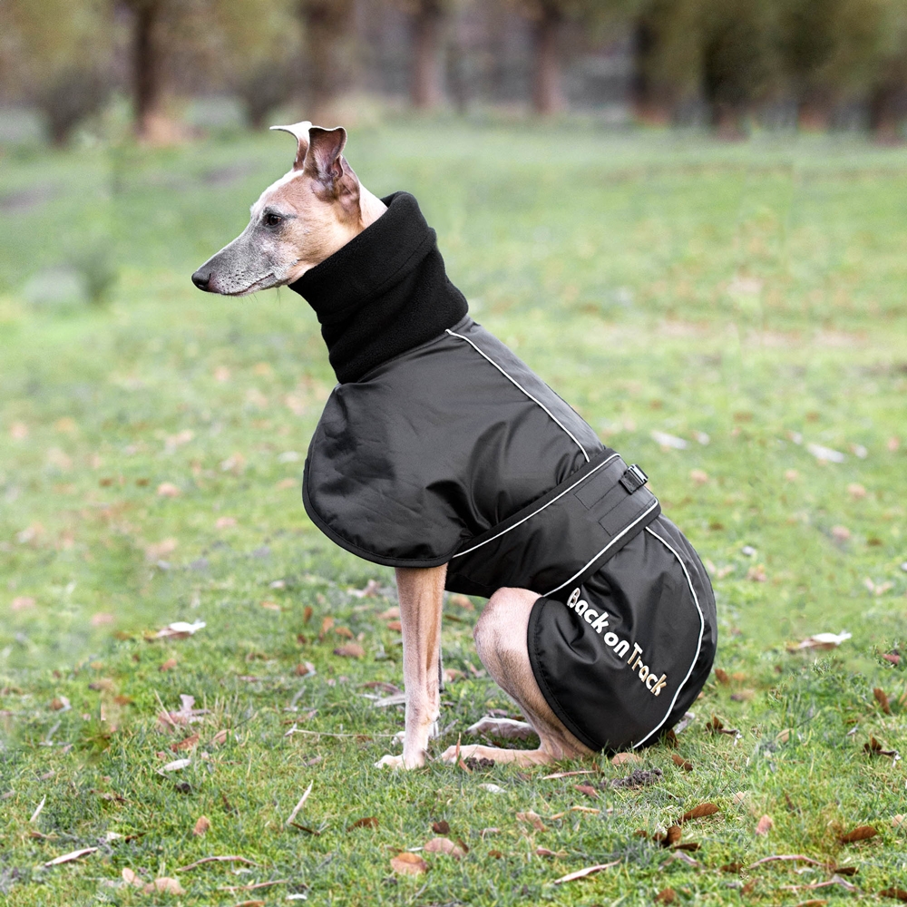 Back on Track Hundemantel Windhund