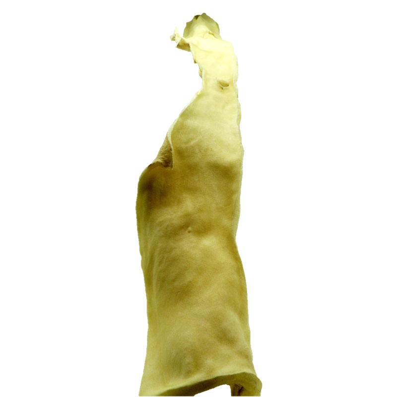 EcoStar Rinderkopfhautstange 70cm