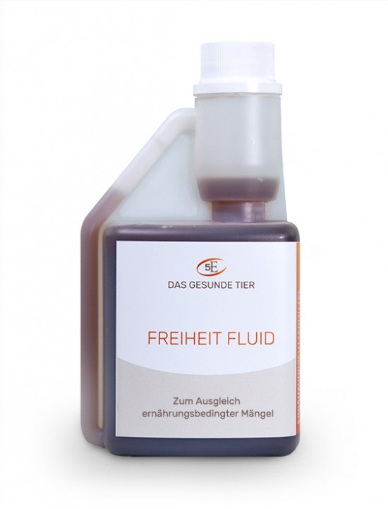 5 Elemente Freiheit Fluid