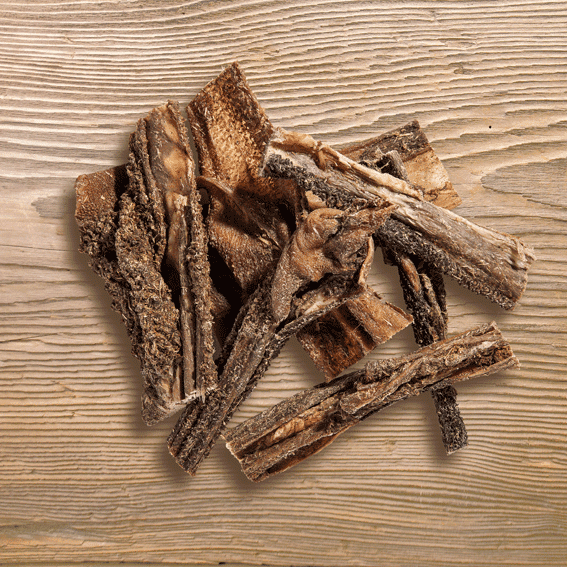 Naturavetal Canis Plus Lammpansen