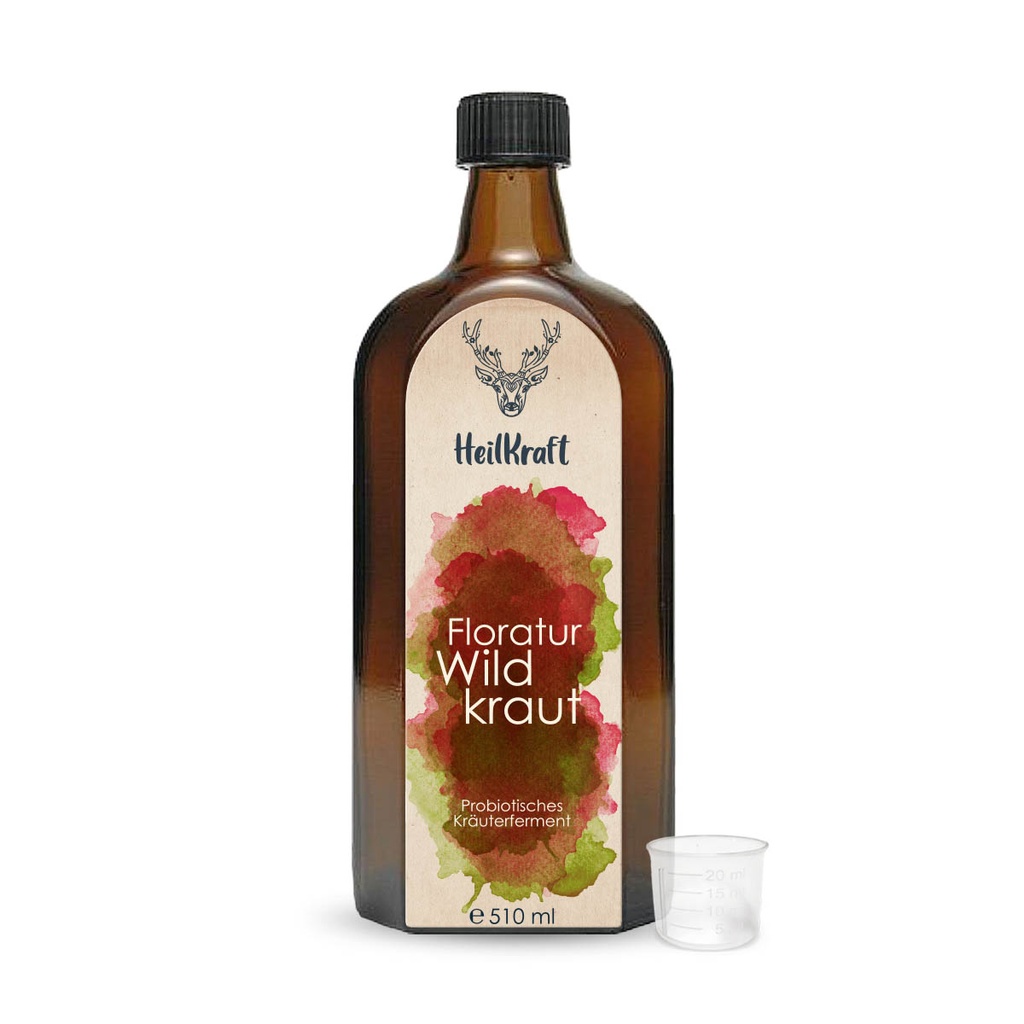 Heilkraft Floratur Wildkraut