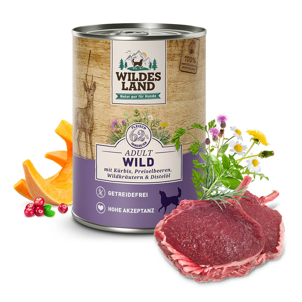 Wildes Land Wild mit Kürbis dog
