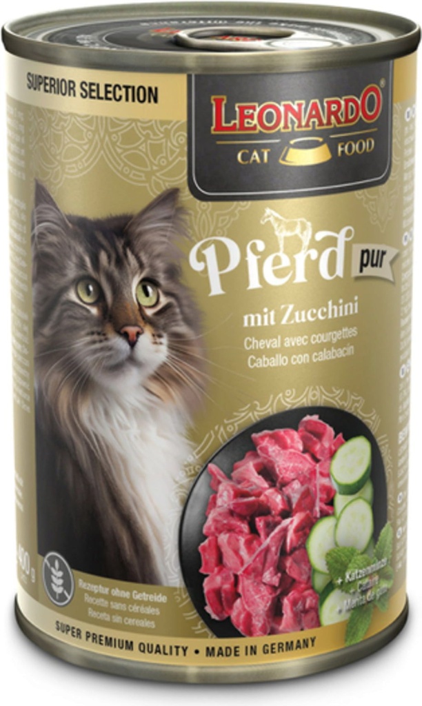 Leonardo Pferd mit Zucchini