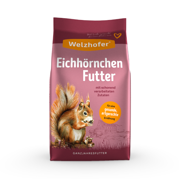 Welzhofer Eichhörnchen Futter