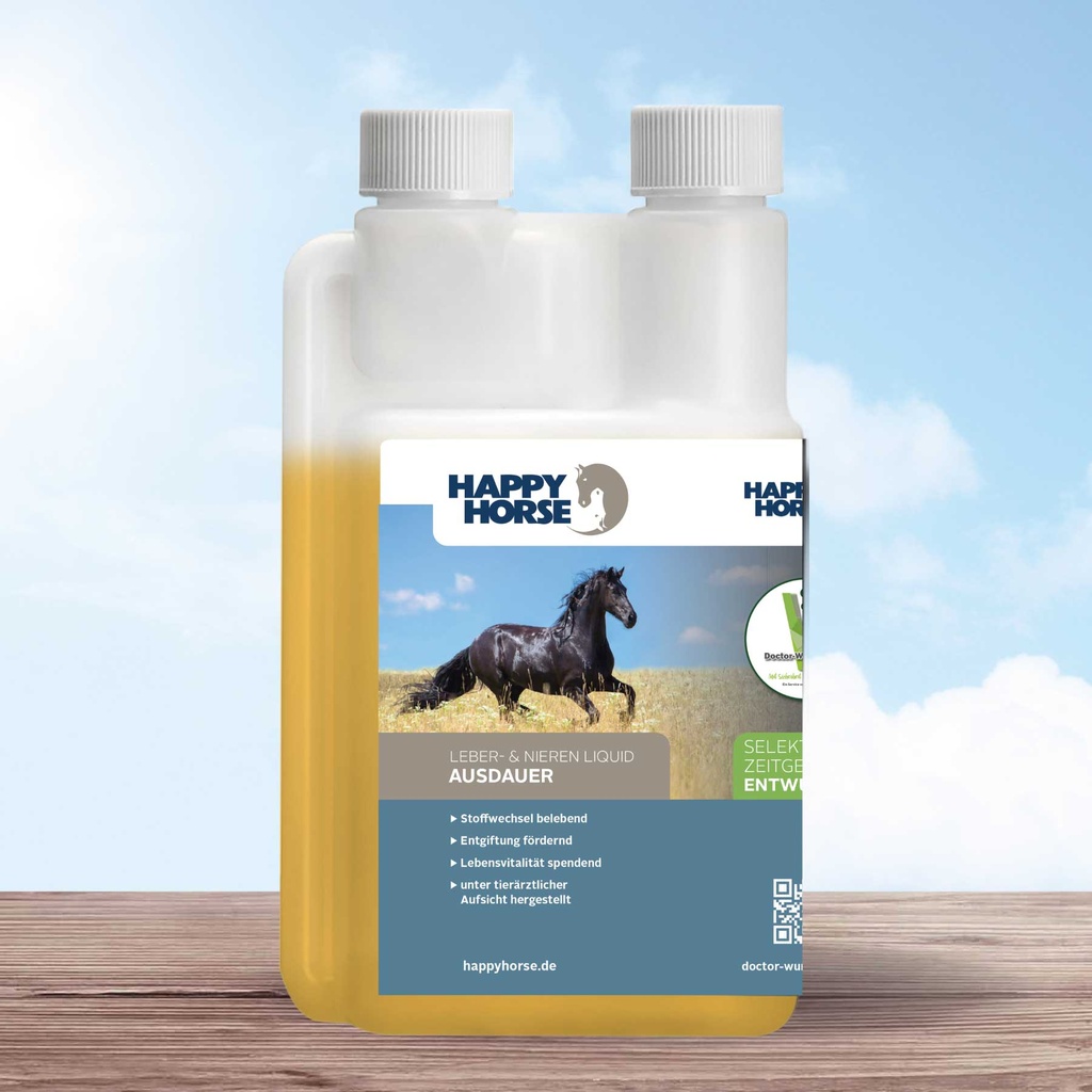 Happy Horse Ausdauer