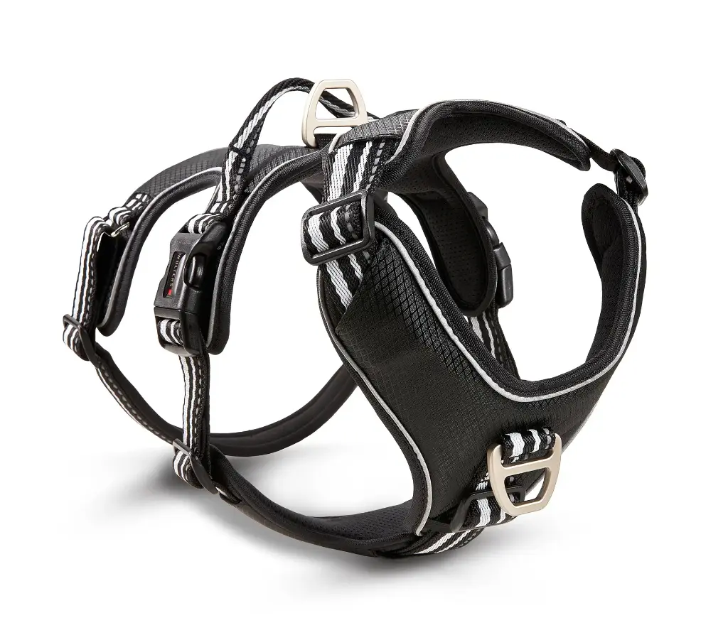 Wolters Active Pro No Escape