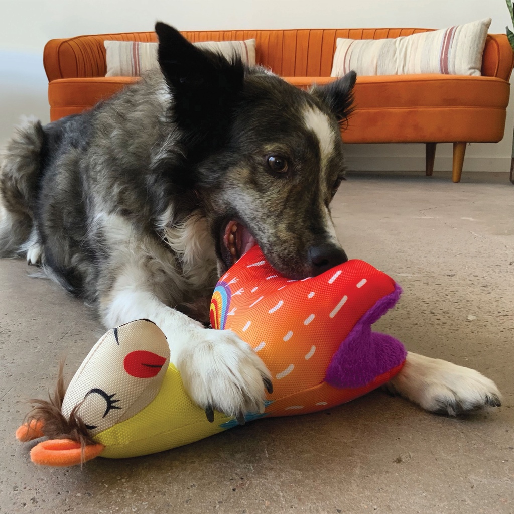 Kong Ballistic Vibez Lamas