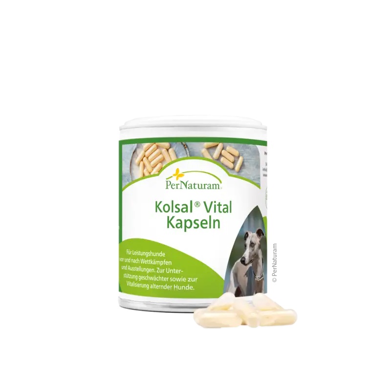 PerNaturam Dog Kolsal Vital Kapseln