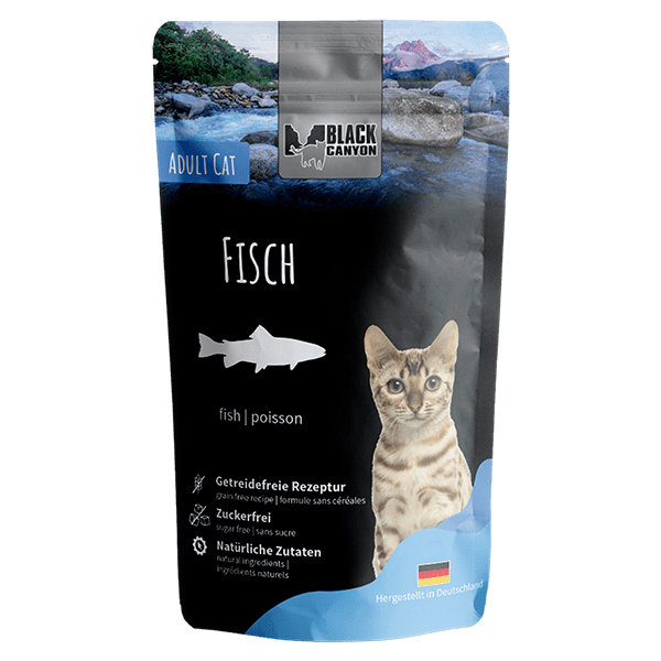 Black Canyon Adult Fisch