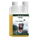 Tjure Supplements Gastro Liquid