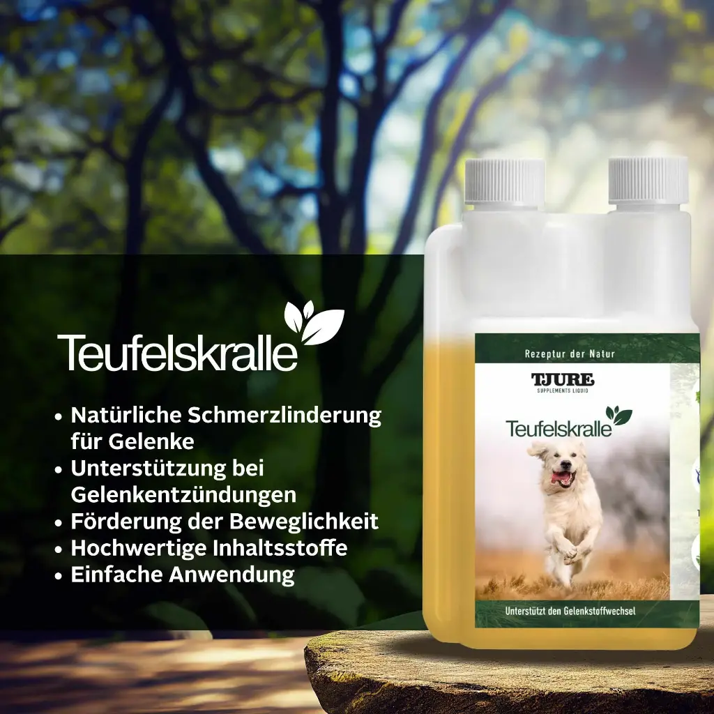 Tjure Supplements Teufelskralle