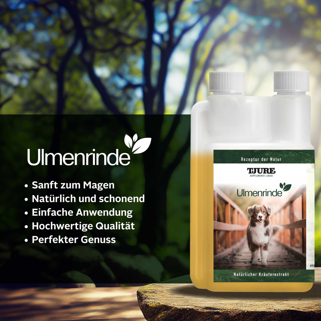 Tjure Supplements Ulmenrinde
